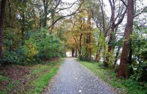 Bosgebied Montferland