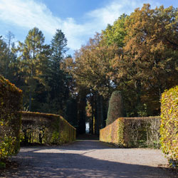 Plantage Zichtlaan