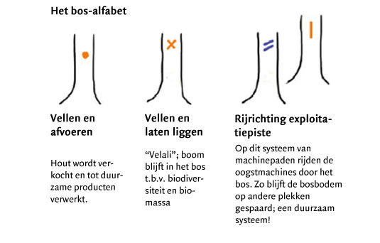 Het bos-alfabet 1