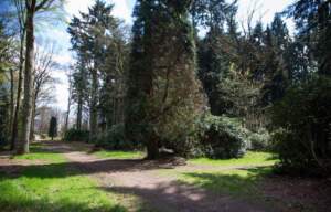 Parkbos de Plantage