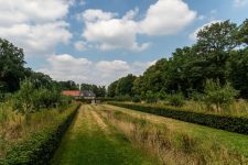 Plantage Fruitbomen
