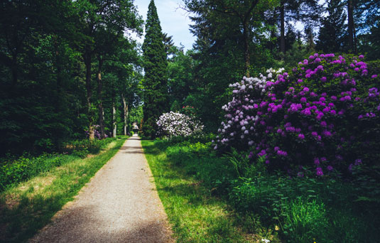 plantage-bloemen